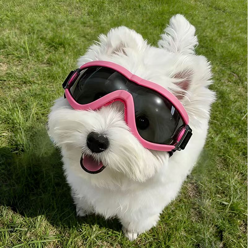 Dog Goggles for Small Medium D - Sunglass Retainer Cord บทวิจารณ์และราคา