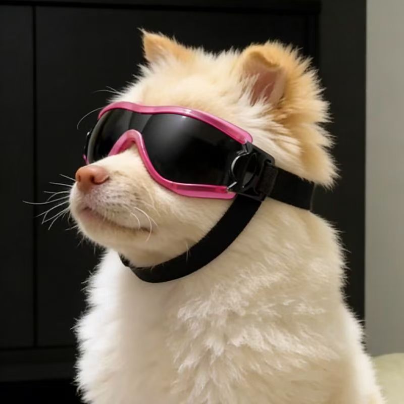 Dog Goggles for Small Medium D - Sunglass Retainer Cord บทวิจารณ์และราคา